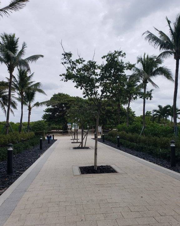 Photo of Others in Surfside