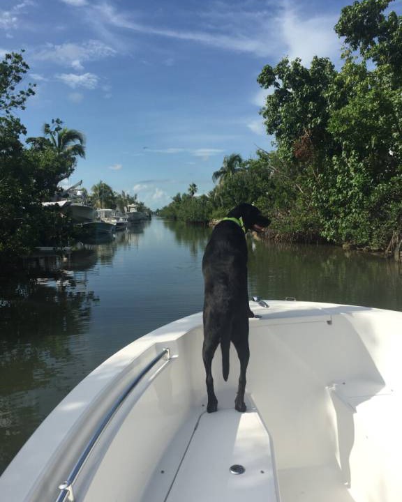 Photo of Others in Ramrod Key