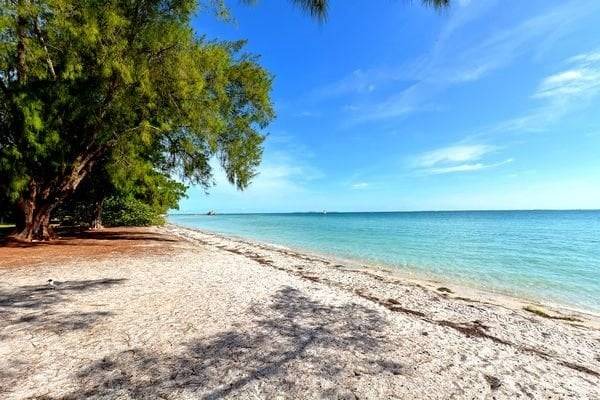 Photo of Others in Anna Maria