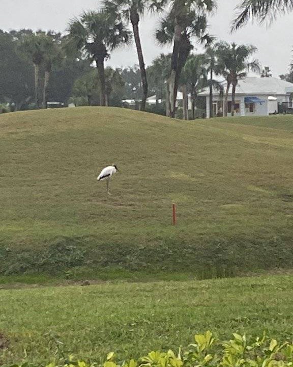 Photo of Others in Plantation