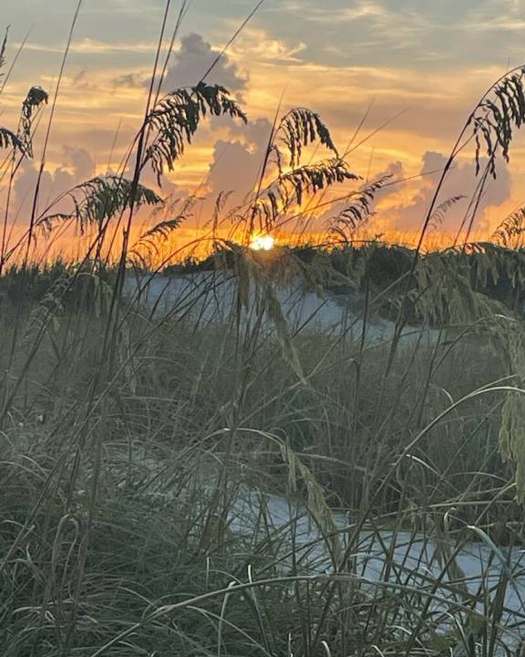 Photo of Others in Redington Shores