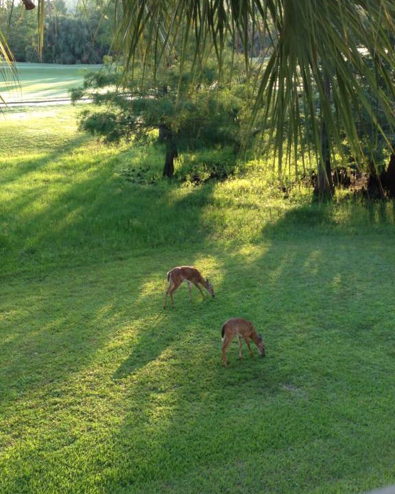 Photo of Others in Stoneybrook