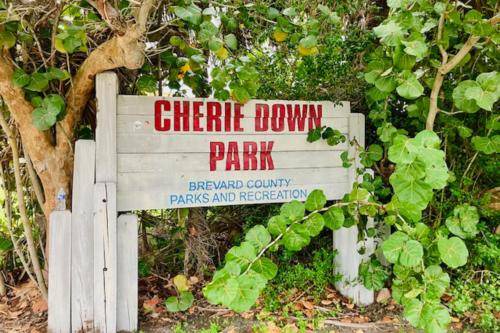 Photo of Others in Cape Caneveral Beach Gardens