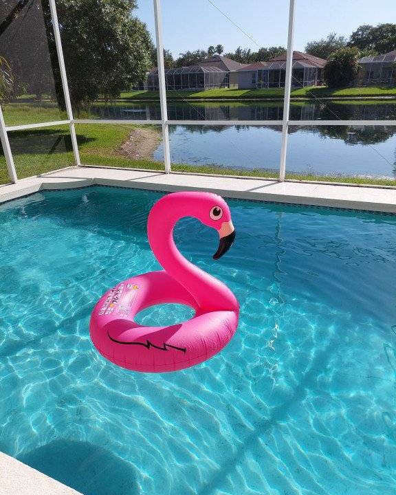 Photo of Others in River Pointe