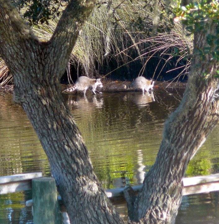 Photo of Others in Nokomis