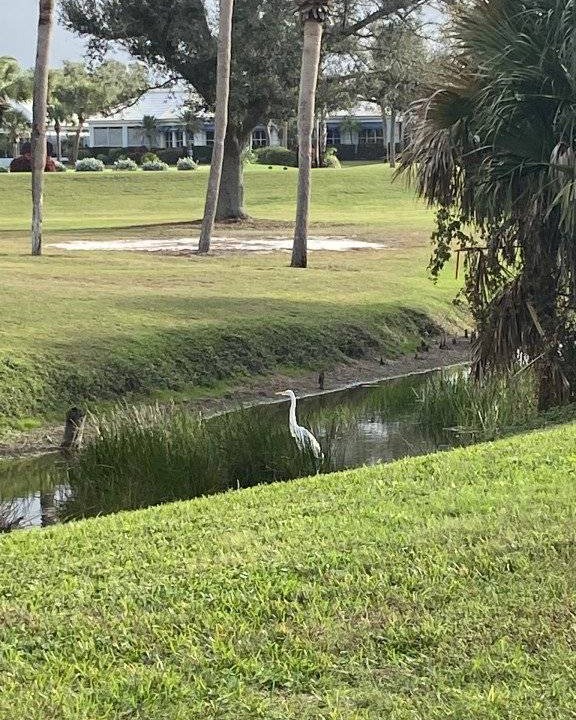 Photo of Others in Plantation