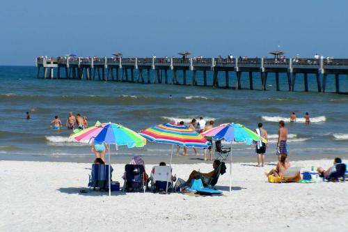 Photo of Others in Fleming Island