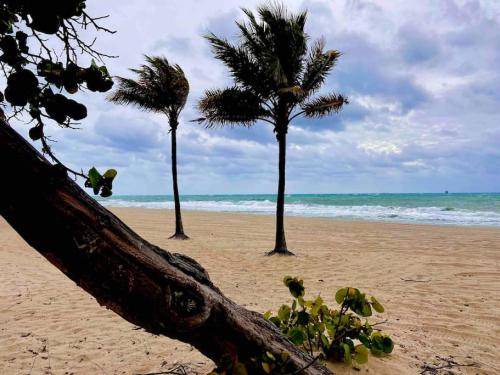 Photo of Others in Hendricks and Venice Isles