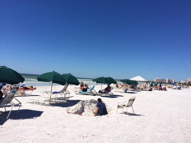 Photo of Others in Siesta Key