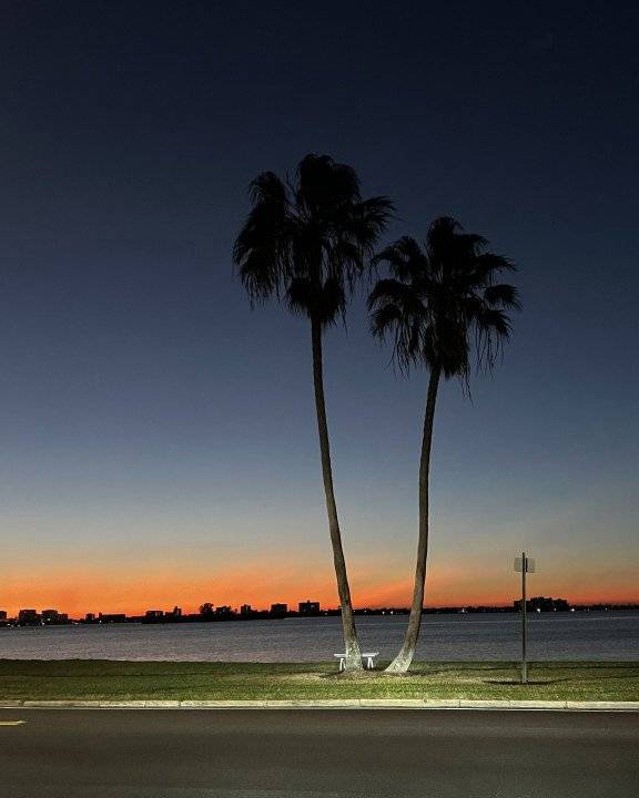 Photo of Others in Clearwater