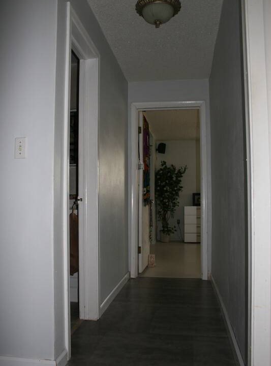 Photo of Others in Miami Springs