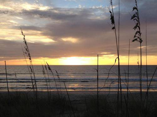 Photo of Others in Indian Harbour Beach