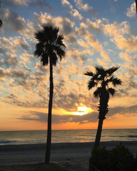 Photo of Others in Longboat Key