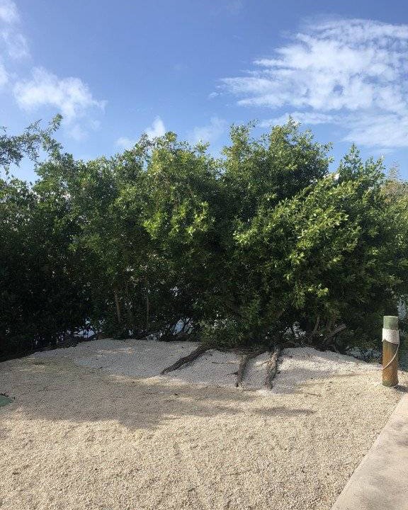 Photo of Others in Little Torch Key