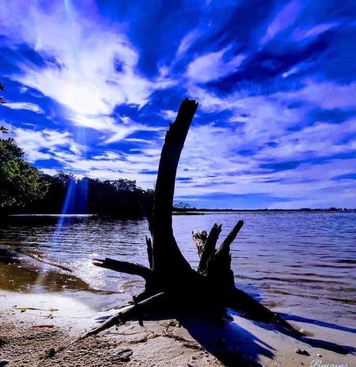 Photo of Others in South Island