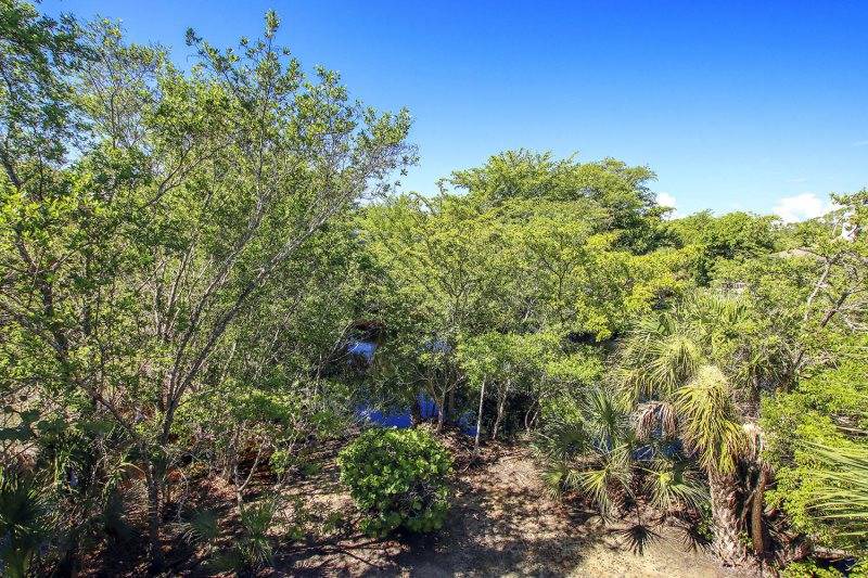 Photo of Outdoor in Gulf Pines