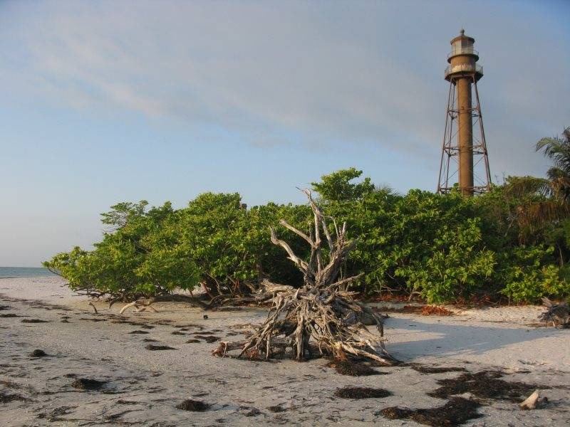 Photo of Outdoor in Gulf Pines