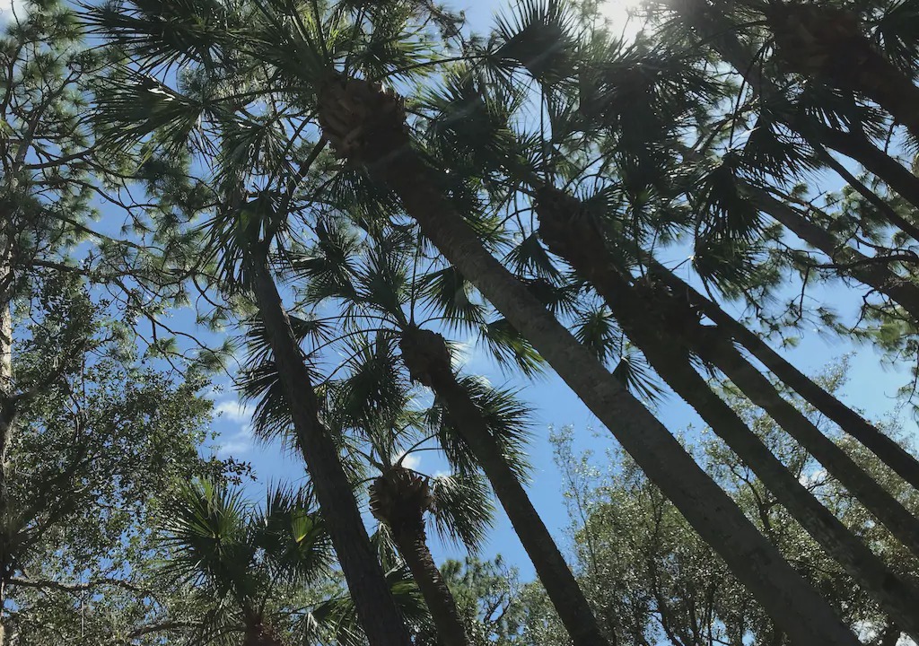 Photo of Others in Naples Park
