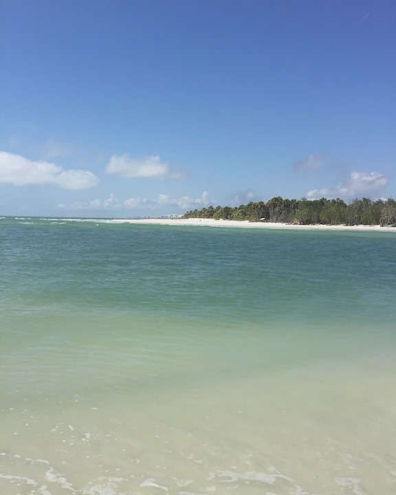 Photo of Others in Naples Park