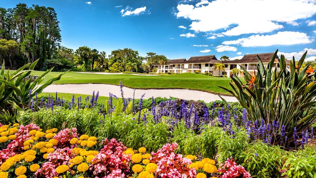 Photo of Outdoor in Saddlebrook