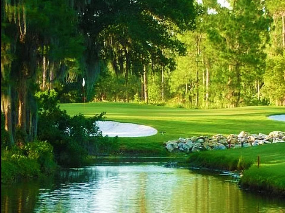 Photo of Outdoor in Saddlebrook