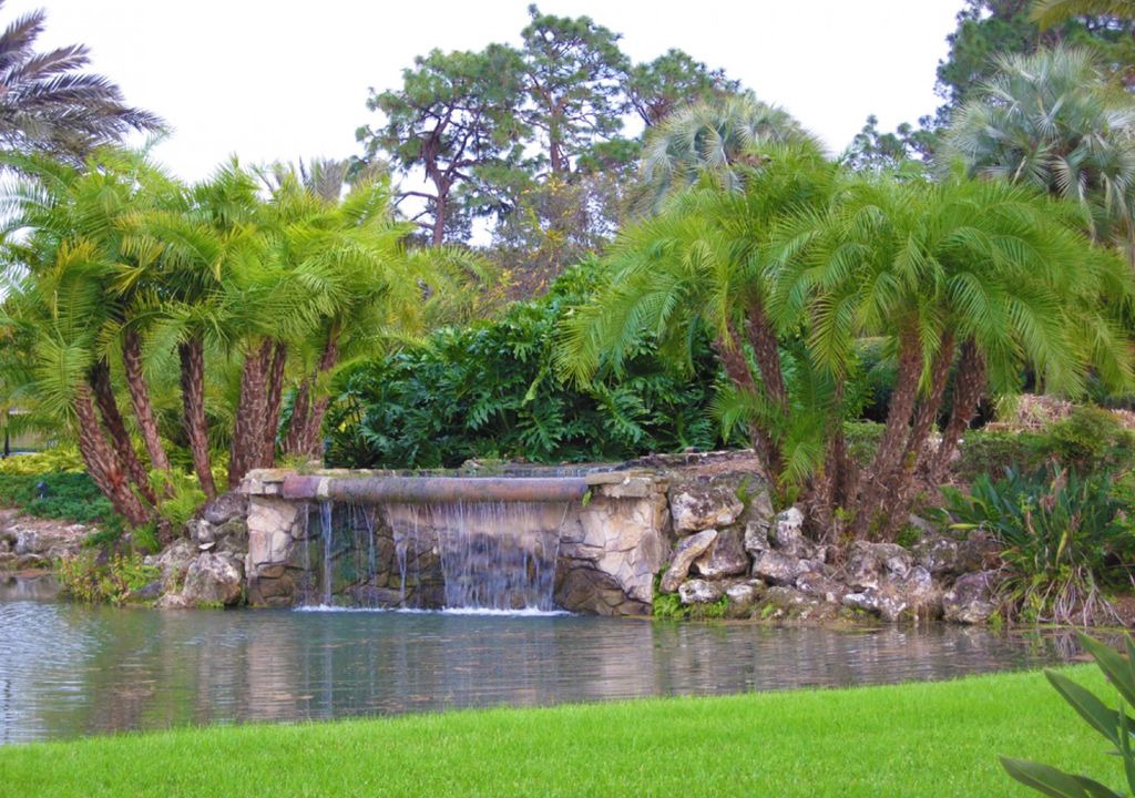 Photo of Others in Saddlebrook