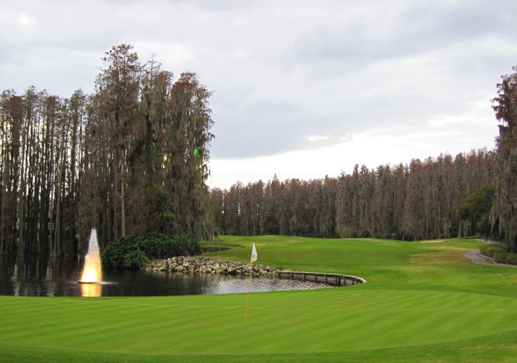Photo of Others in Saddlebrook