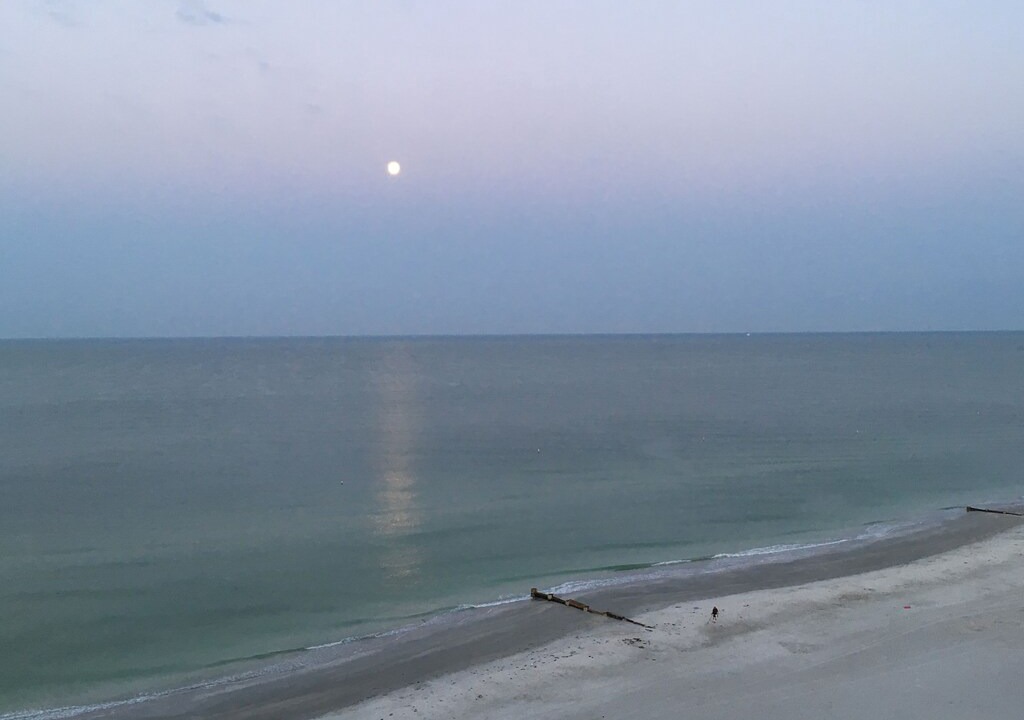 Photo of Outdoor in Madeira Beach