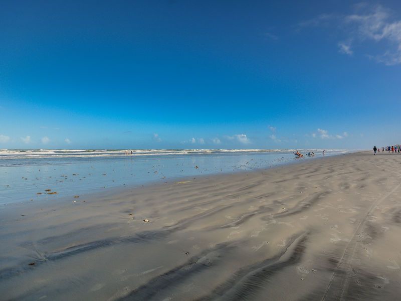 Photo of Outdoor in New Smyrna Beach