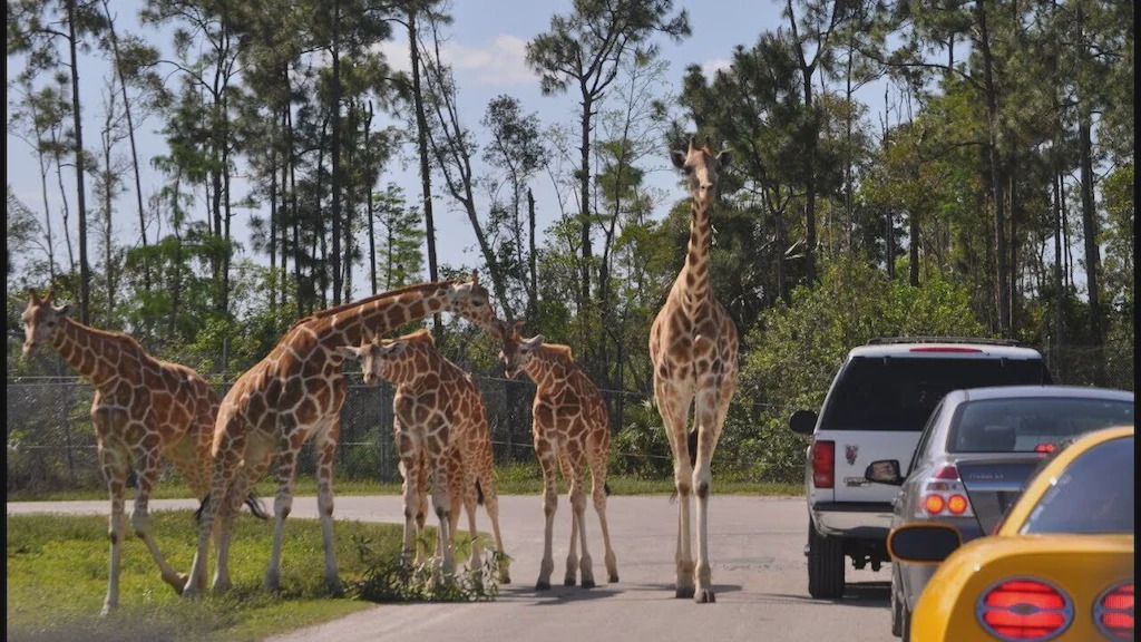Photo of Others in Loxahatchee Groves