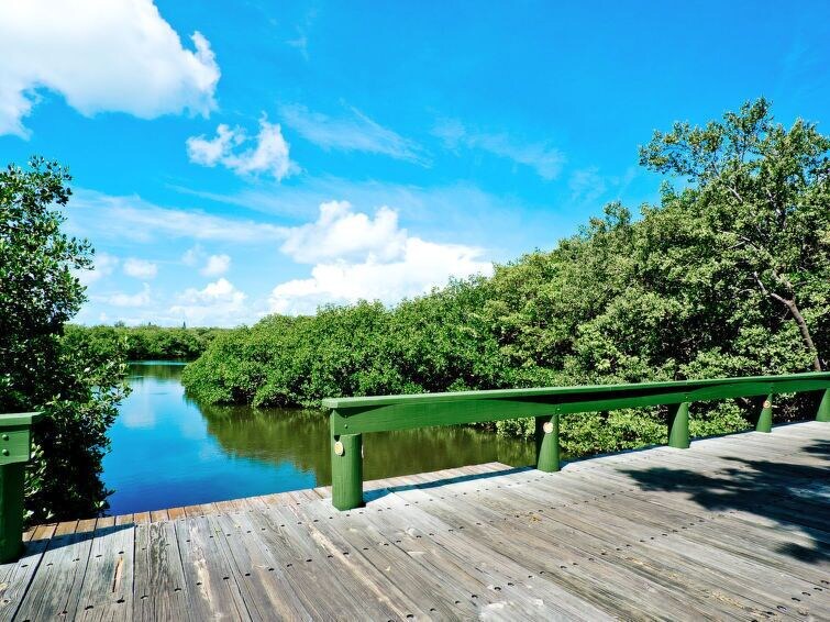 Photo of Outdoor in Holmes Beach