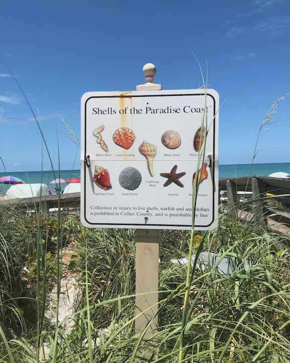 Photo of Others in Naples Park