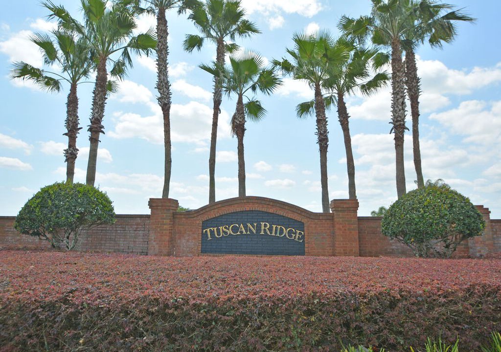 Photo of Others in Tuscan Ridge