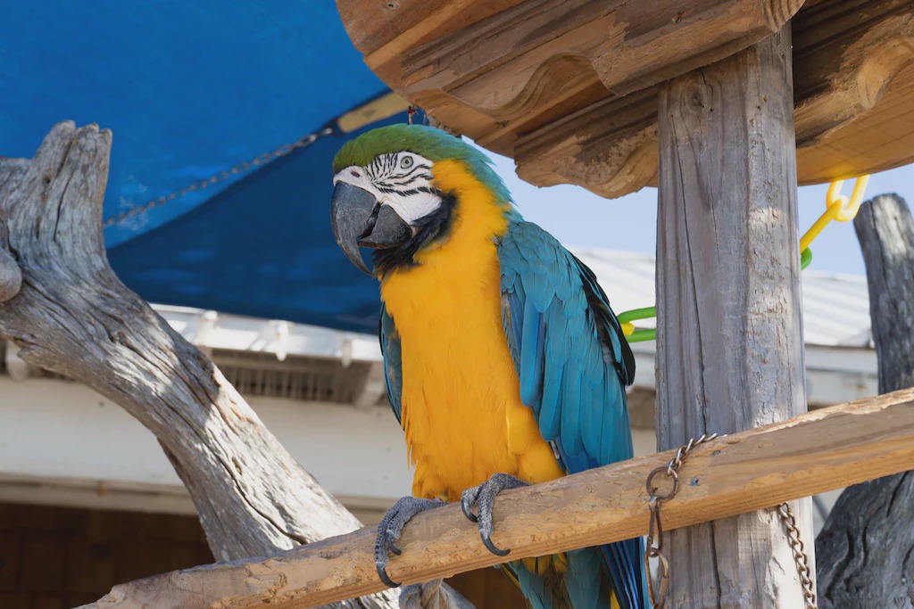 Photo of Others in Sandestin