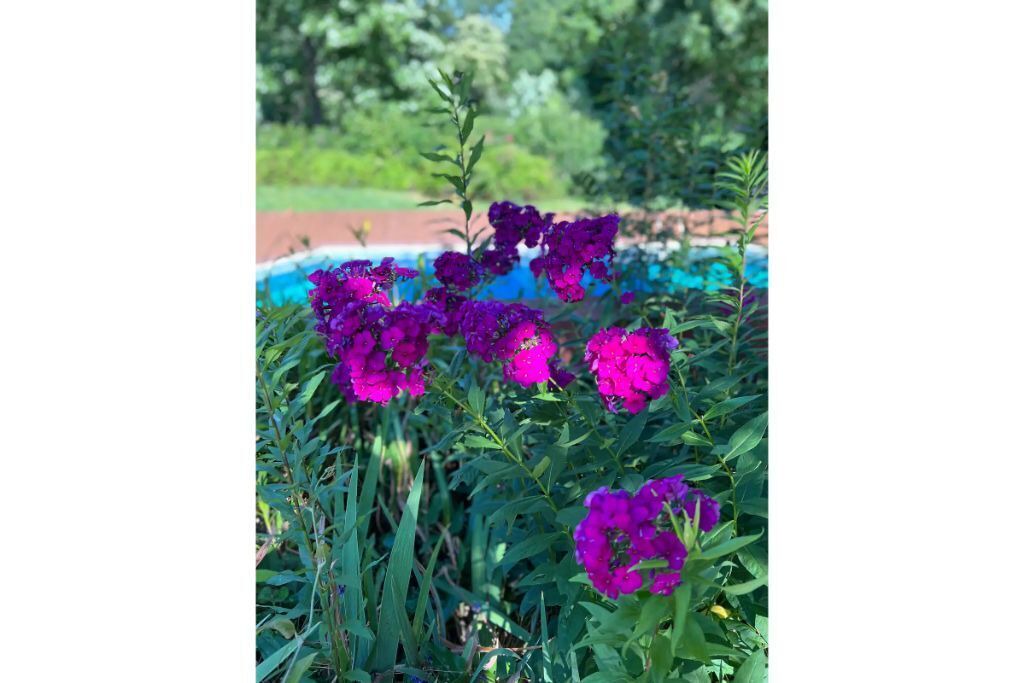 Photo of Outdoor in Clarkesville