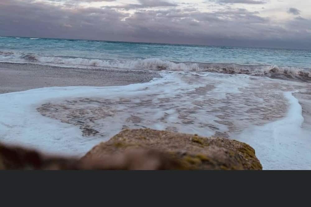 Photo of Others in Jupiter