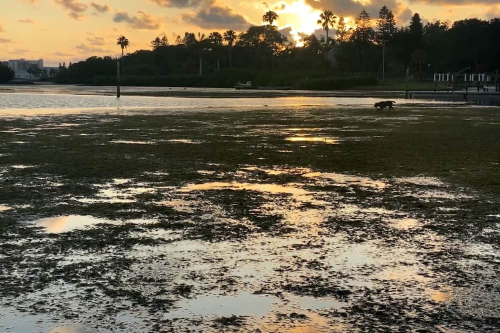 Photo of Others in Gulfport
