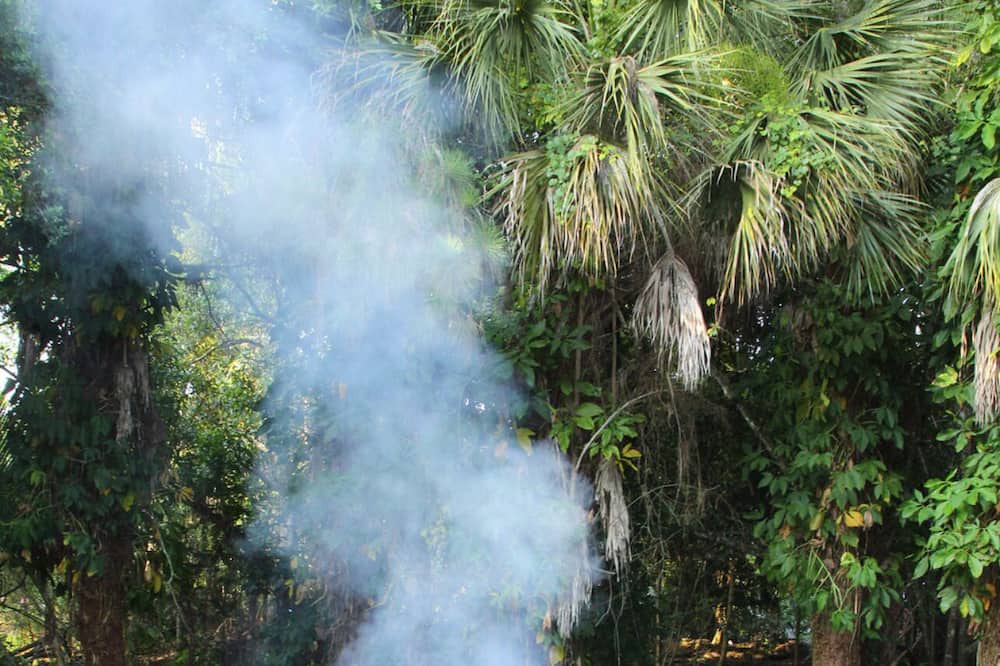 Photo of Outdoor in Jupiter Farms