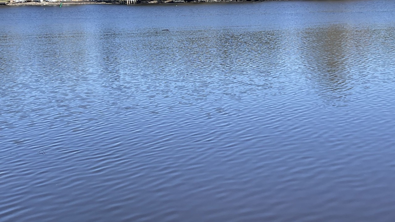 Photo of Outdoor in Northside