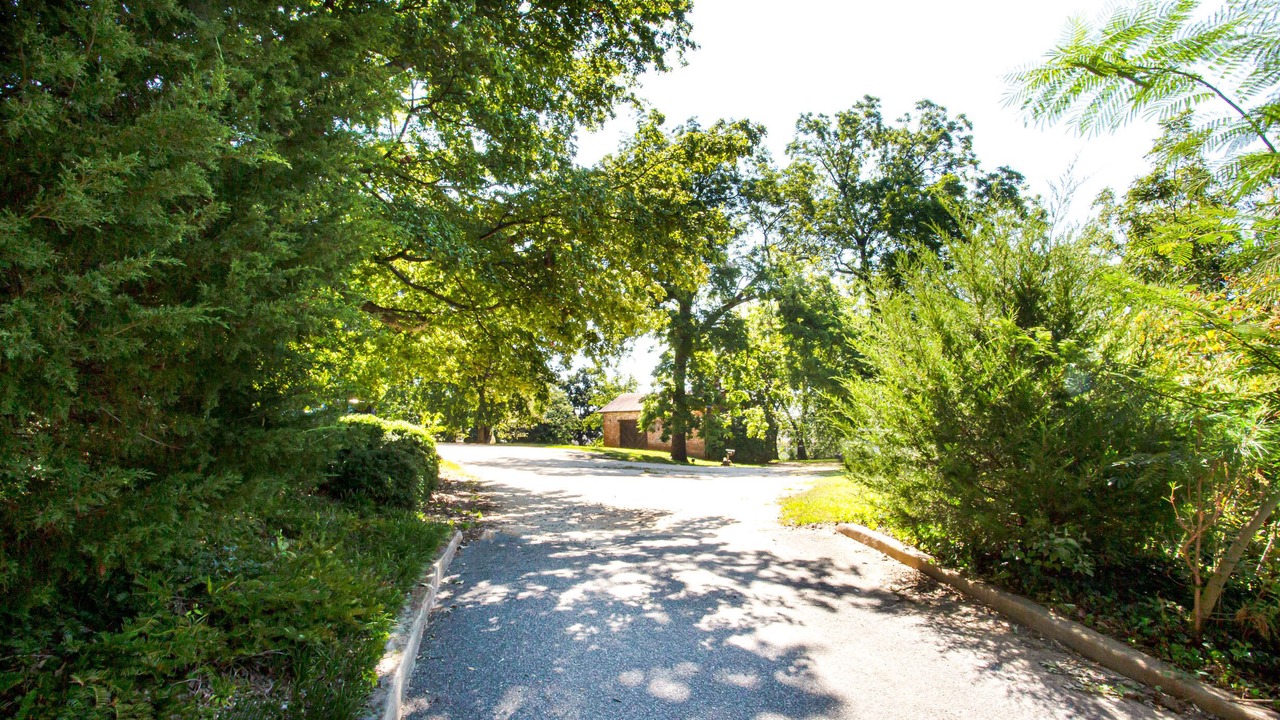 Photo of Outdoor in Athens