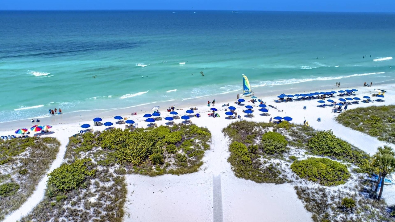 Photo of Outdoor in Siesta Key