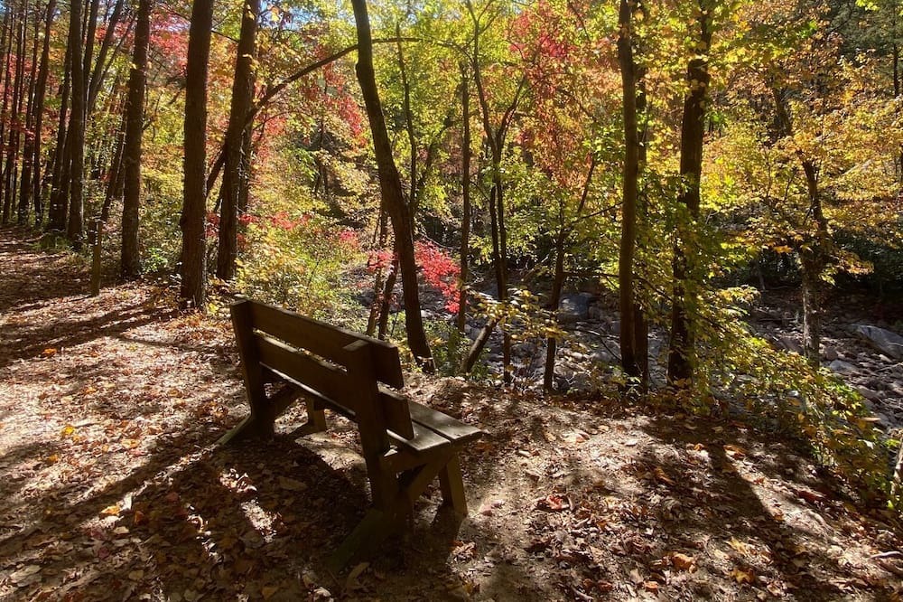 Photo of Outdoor in Sale Creek