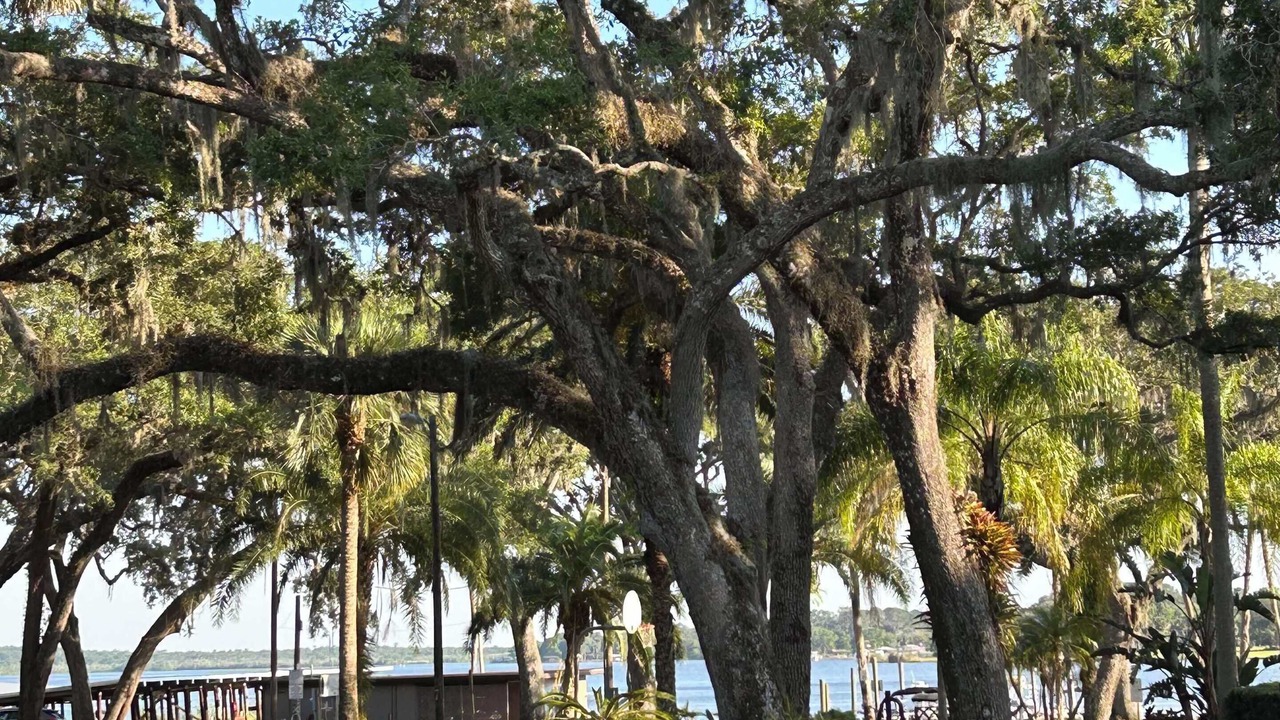 Photo of Outdoor in DeLand