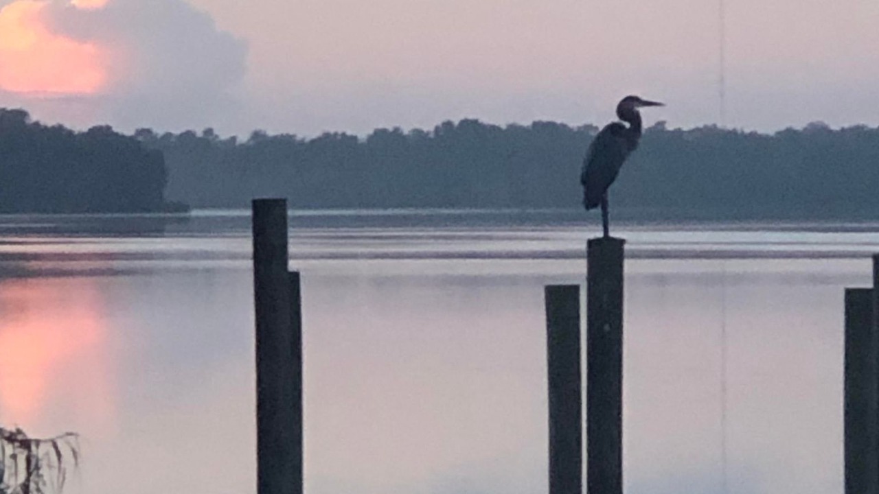 Photo of Outdoor in DeLand