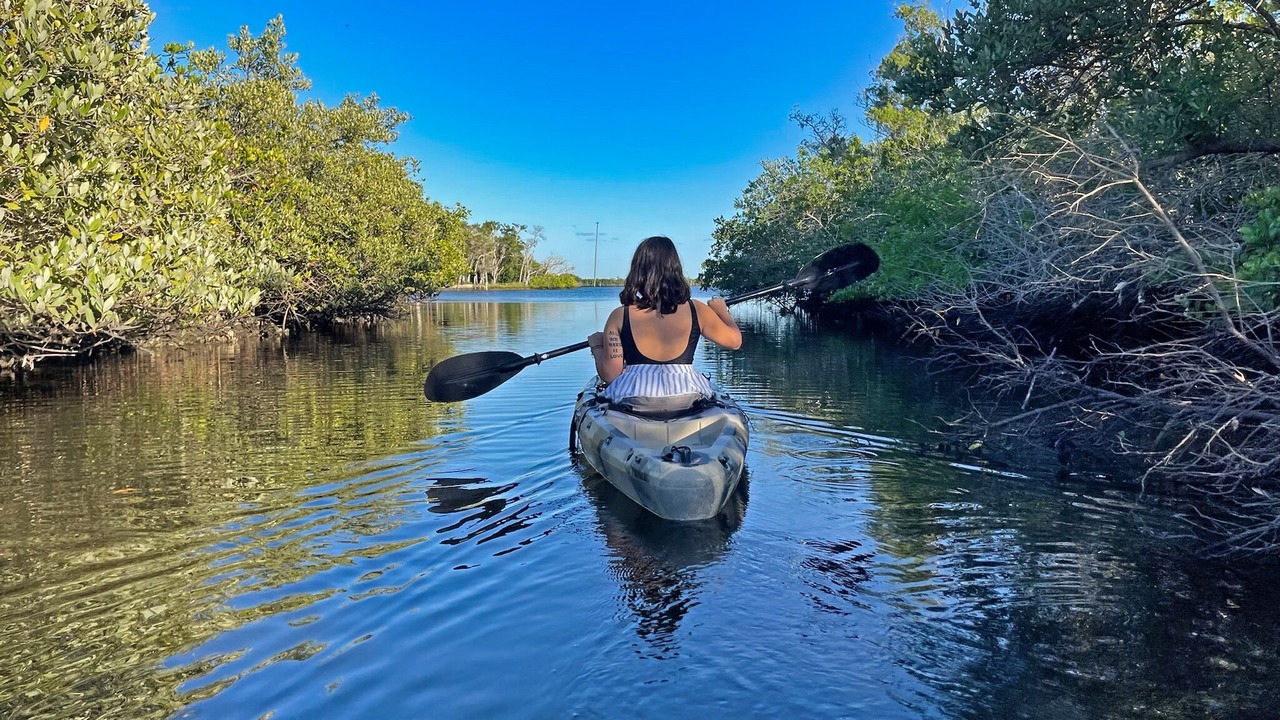 Photo of Others in Crystal River
