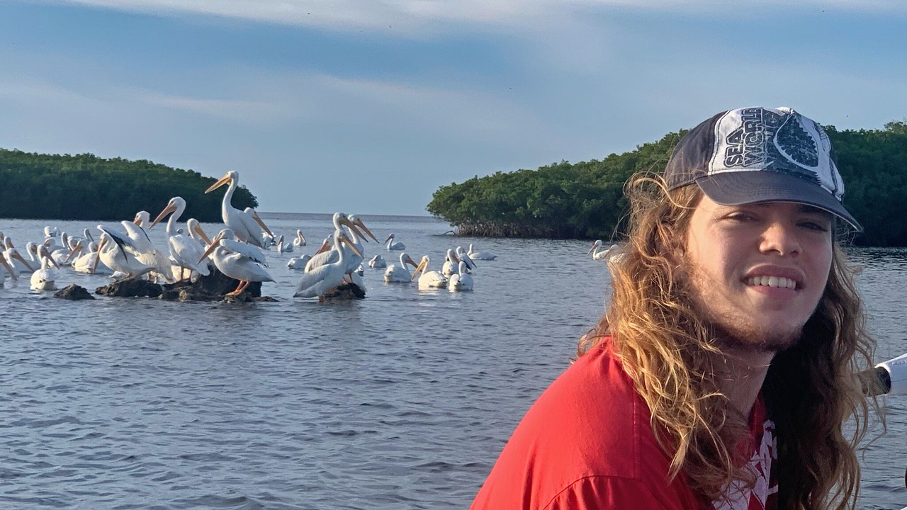 Photo of Outdoor in Crystal River