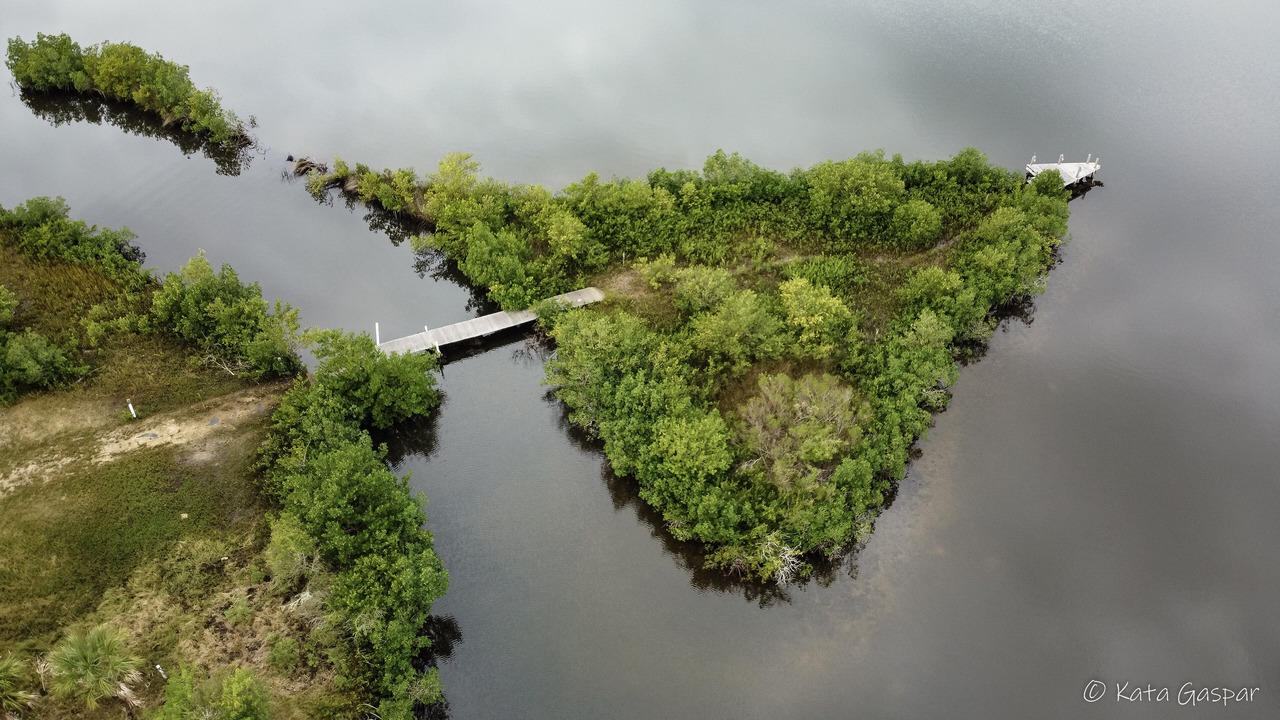 Photo of Outdoor in Crystal River