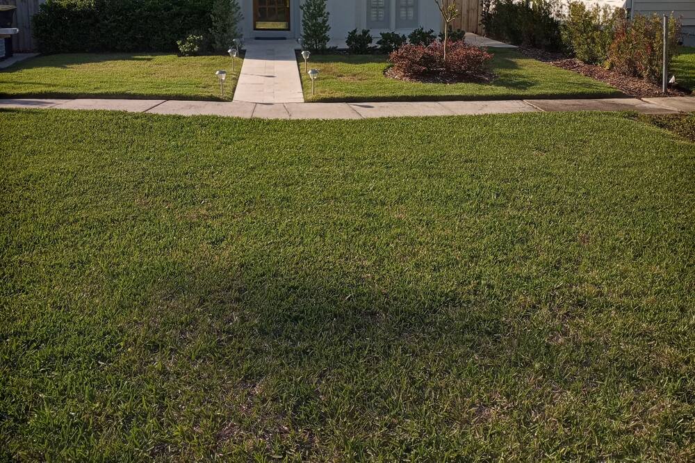 Photo of Outdoor in Avondale