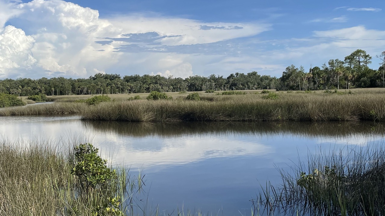 Photo of Outdoor in Dixie Shores