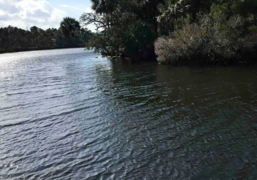 Photo of Others in Weeki Wachee Gardens